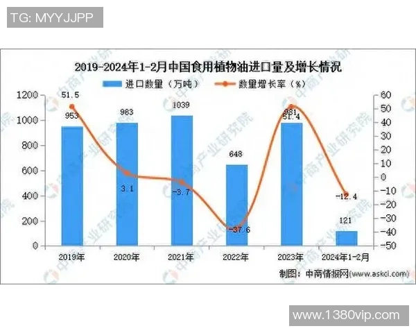 喀麦隆与智利比赛结果分析及数据统计详解